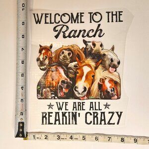Transfer- Welcome to the RANCH
